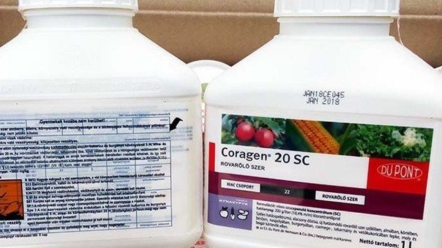 Кораген инсектицид – инструкция по применению на картофеле и томатах