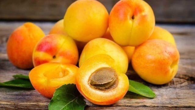 Характеристика и правила выращивания абрикоса Графиня