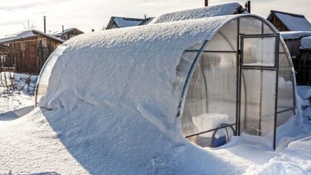 Снег в теплице: за и против «белого покрывала» внутри конструкции