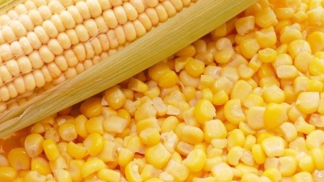 Описание кукурузы сорта Пионер. Особенности выращивания и ухода