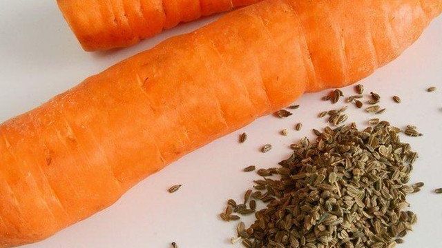 Подготовка семян моркови к посеву в открытый грунт: нужна ли обработка перед посадкой, как ускорить прорастание, правильно разбудить зерна, чтобы быстро взошли?
