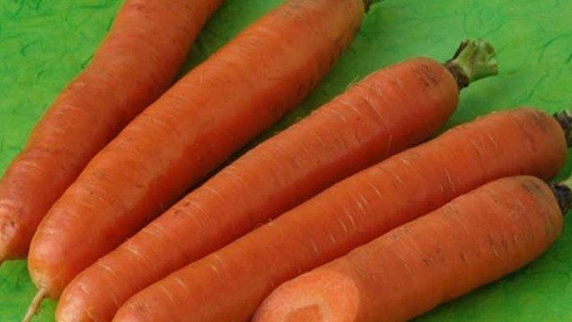 Морковь: сорта для подзимнего посева