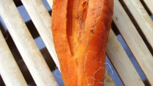 Почему трескается морковь: возможные причины и правильное устанение