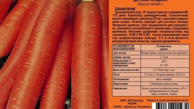 Морковь семена: лучшие сорта, отзывы и описание, поздние и ранние для открытого грунта