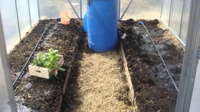 Ручной и автоматический полив в теплице: способы поддержания влажности воздуха и как поливать растения